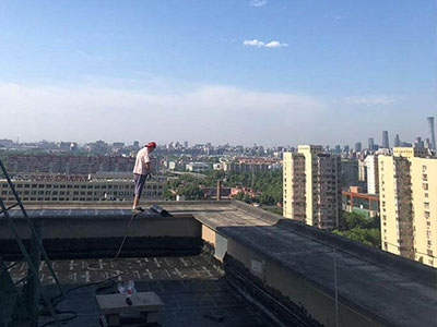 1608130889105582.jpg 1587535672572451.jpg