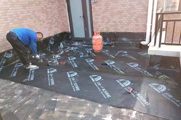 1641734709998079.jpg 195.jpg