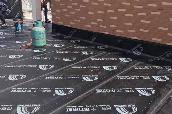 1641734772817474.jpg 182.jpg